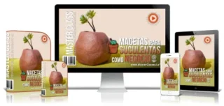 MACETAS PARA SUCULENTAS COMO NEGOCIO