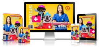 PRIMEROS AUXILIOS PARA PERROS