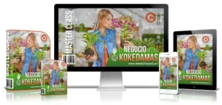 EL NEGOCIO DE LAS KOKEDAMAS