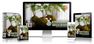 KOKEDAMAS ARREGLOS CON MUSGO